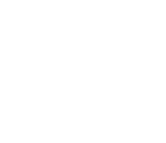 Logo de la Journée internationale du droit des femmes
